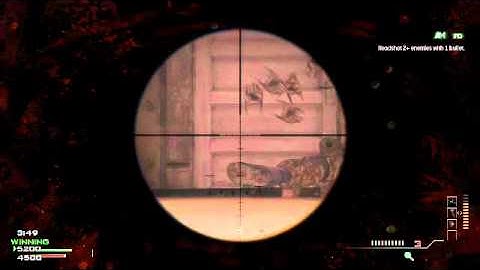 Double Scoped Headshot with Golden Barrett. 50cal and Completion of All Pro Challenge