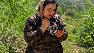 A Devastating Phone Call Destroyed Fatemeh's Last Hop screenshot 3