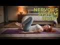 💤 Zenful Yin Yoga to Promote Sleep + Soothing Nervous System Reset ✨🧘#yinyoga #bedtimeyoga
