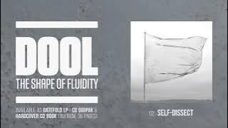 Dool - The Shape of Fluidity [Full Album Player]
