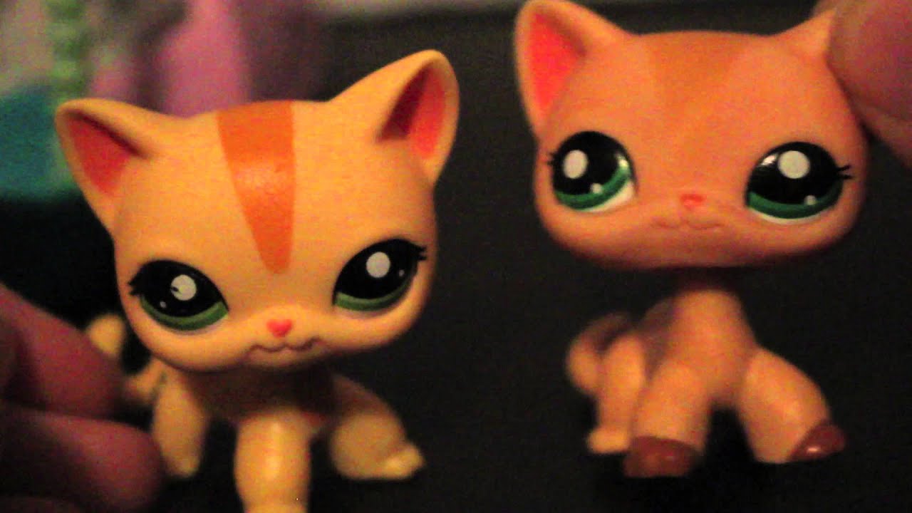 Lps Short Hair Cat Real Are Fake Lps Short Hair Cat Real Are Fake