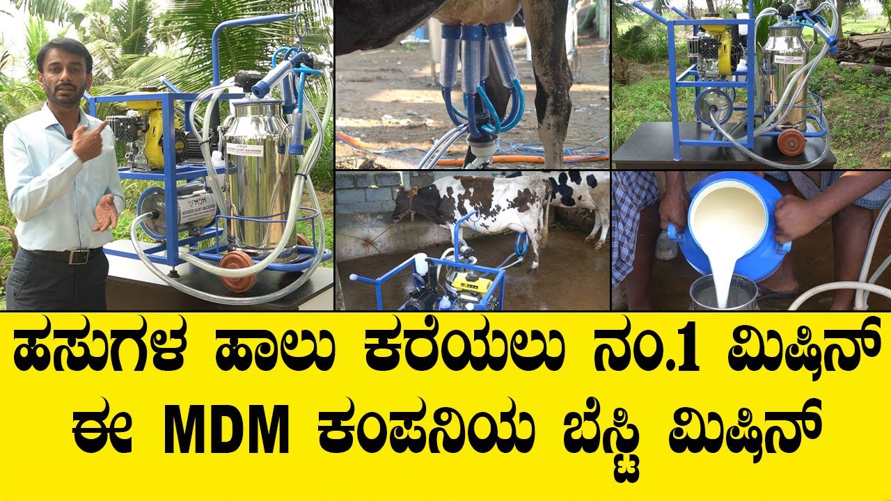call 7806921010 ಹಸುಗಳ ಹಾಲು ಕರೆಯಲು ನಂ.1 ಮಿಷಿನ್ ಈ MDM ಕಂಪನಿಯ ಬೆಸ್ಟಿ ಮಿಷಿನ್..COW MILKING MACHINE VIDEO