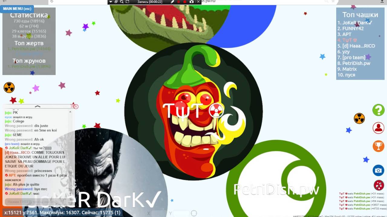 чашка петри 1 - YouTube