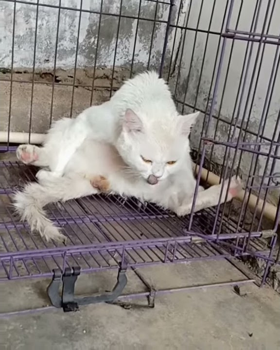 Apa Lo lihat lihat 😏