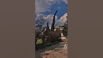 كان ودي نلتقي 