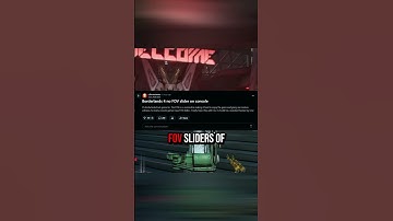 FOV Problems In Borderlands 4? Worry No More