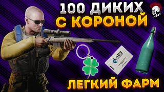 Тарков ЛУЧШИЙ фарм за дикого! 100 диких Escape from Tarkov