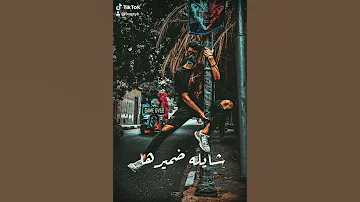 دي حبيبتي شيلة ضميرها 