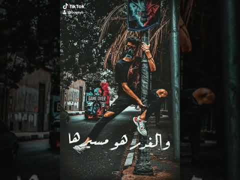دي حبيبتي شيلة ضميرها