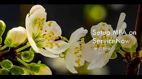 How to activate Multi Factor Authentication (MFA) on ServiceNow