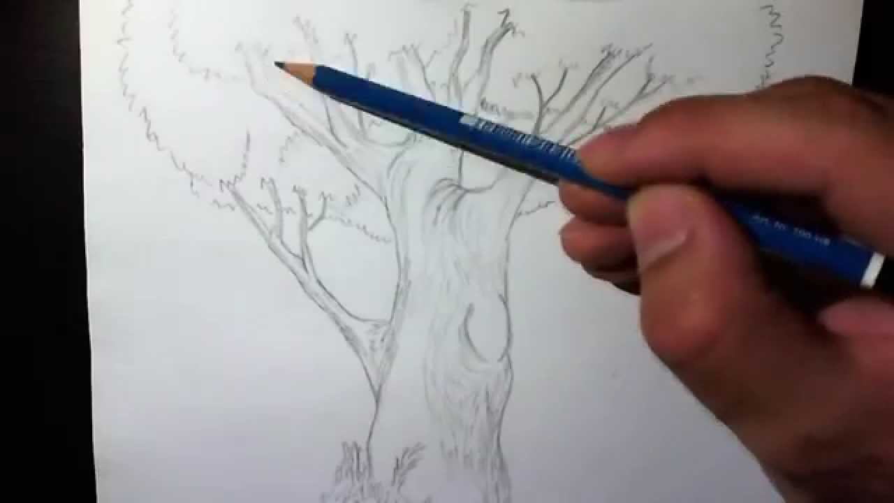 Test Speed Drawing Of A Tree Disegno A Matita Di Un Albero