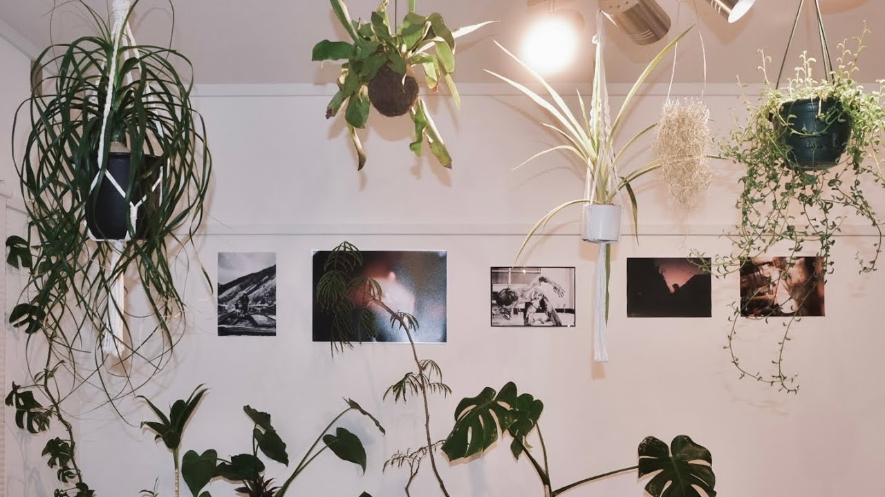 Simply hanging photos on the wall can enrich your life a little