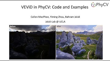 VEViD in PhyCV: Code and Examples