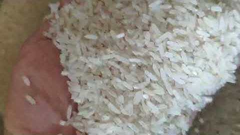 Rice Color Sorter Machine Sorting Accuracy 99.99%