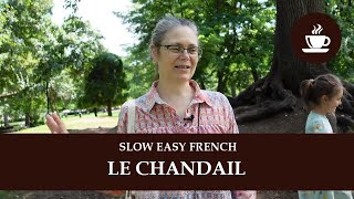 FRENCHPRESSO (Slow, Easy French) - Le film « Le chandail » screenshot 2