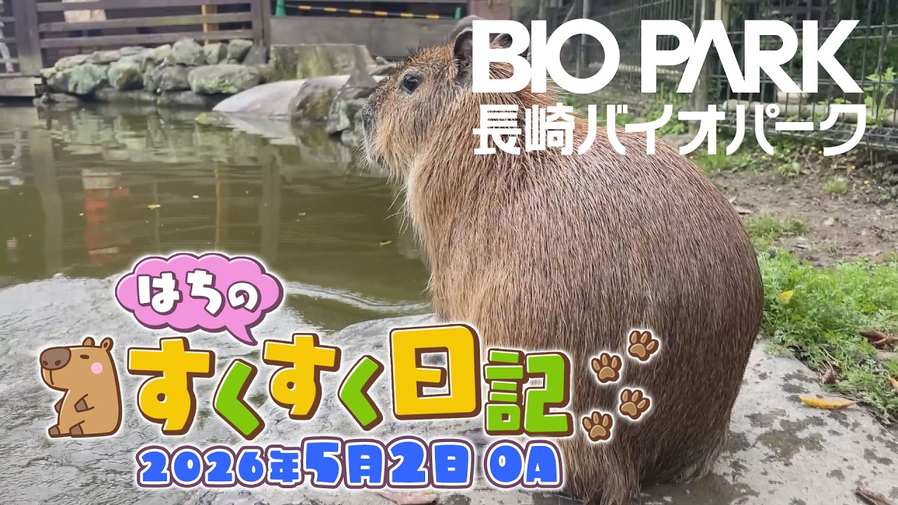 カピバラページ Capybara 