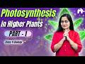 Photosynthesis in higher plants Class 11 Biology | Part 1 with Roshni Mam #concepthogacrystalclear