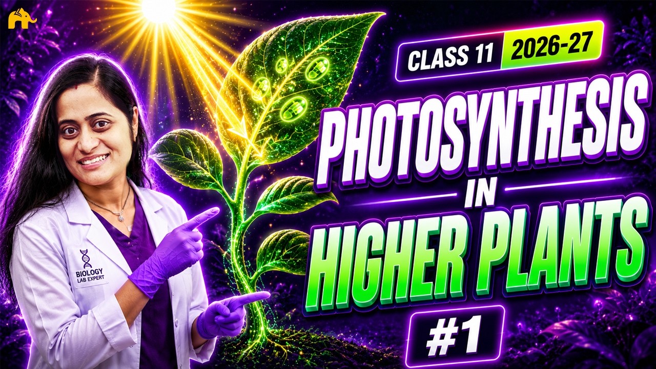 Class 11 Biology: Photosynthesis Part 1 | CBSE Boards & NEET 2026-27 Exam Prep
