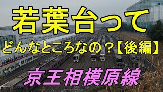 たまに見かける行先「若葉台」ってどんなところなのかレポートします！【後編】