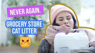 Never Leave The House For Cat Litter Again!