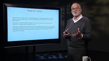 7.2 Cancer as an Evolutionary Process: Why we are Susceptible