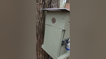 Geocaching With Quiet Bear- Gadget Cache