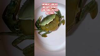 proses molting #shorts