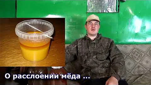 Как проверить качество мёда в домашних условиях. Проверка натуральности мёда. Методы проверки мёда