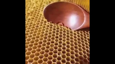 مقطع من سورة النحل قرئ الشيخ ماهر المعيقلي