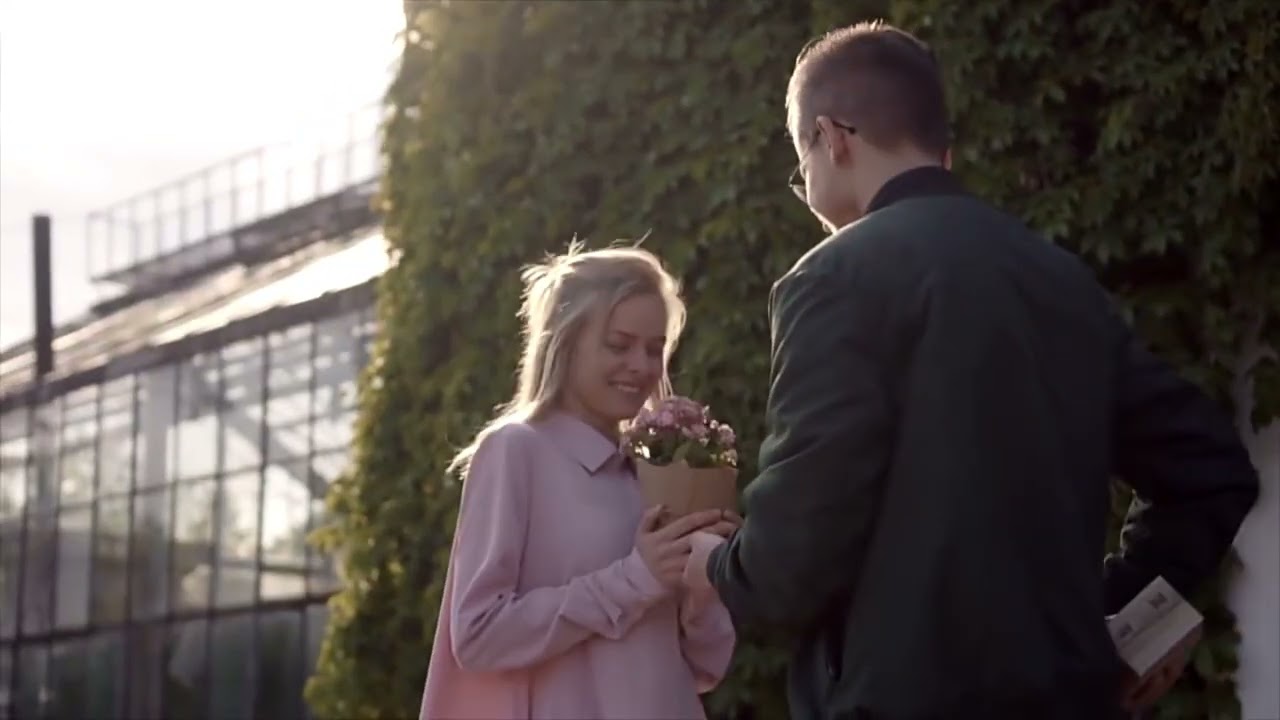 BOBO BIRD Wooden Men Watch Fashion Business Week And Date Display