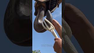 The Art of Secure Hook Rigging | #Shorts #LifeHacks #OutdoorSkills