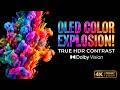 10-Bit Color OLED Test: Billion Colors Fluid Dynamics | 4K HDR Dolby Vision Demo