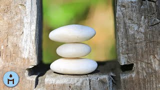 Relaxation Nature, Nature Sound Relaxation, Sounds of Nature, Relaxing ZEN Music, Soft Music screenshot 2
