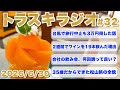 台風で旅行をやめたら得した話と、35歳になって少し変わった旅との向き合い方【トラスキラジオ#32】