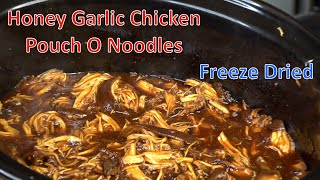 Honey Garlic Chicken Pouch O Noodles Freeze Dried Ep360