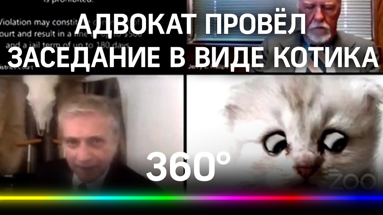 «Я не кот!» адвокат появился на заседании в Zoom в виде