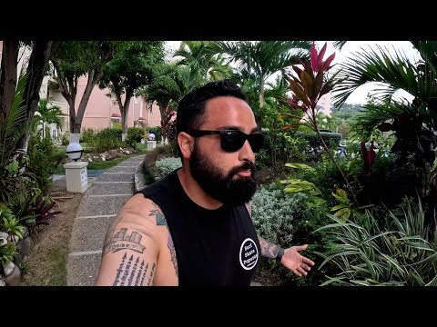 $100 Airbnb in