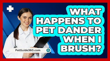 What Happens To Pet Dander When I Brush? - PetGuide360.com