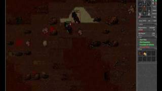 Tibia Aurea Pk