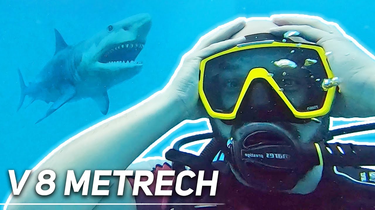 REÁLNĚ JSEM MĚL STRACH… 😨 | Potápěčský kurz OWD #1