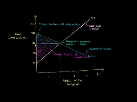 Video: Ekonomide kira kontrolü nedir?