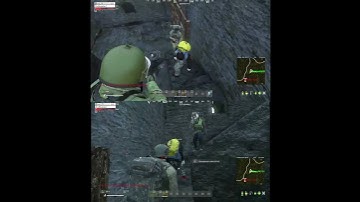 DayZ execution video