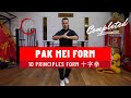 Pak mei kung fu 10 principles form  
