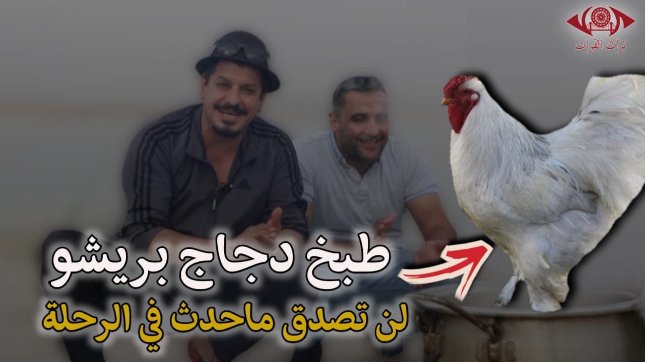 طبخ الدجاج بريشو #تراث_الفرات