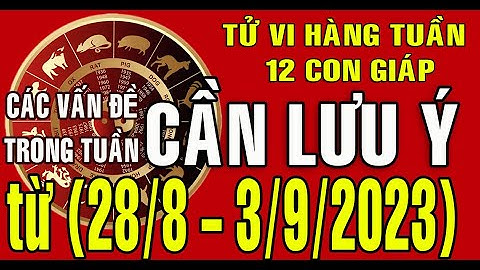 Tử vi Tuần mới (28/08 - 03/09/2023) CÁC VẤN ĐỀ CẦN LƯU Ý TRONG TUẦN cho 12 con giáp