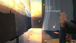 LOEWE bild s audio final 0209 de 3 1920 h264 1