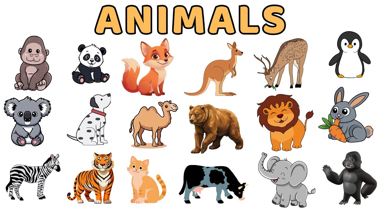 20 Animals Names for Kids | Animals Names for baby