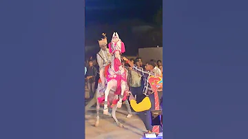 Horse Marriage Horsedancing Dance Marwadi Religion Horsemaster 