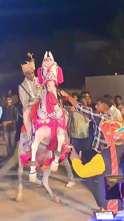 #horse #marriage #horsedancing #dance #marwadi #religion #horsemaster