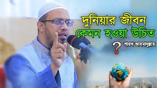 দুনিয়ার জীবন কেমন হওয়া উচিত শায়খ আহমাদুল্লাহ